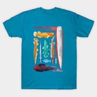 Really Cool Fish T-Shirt